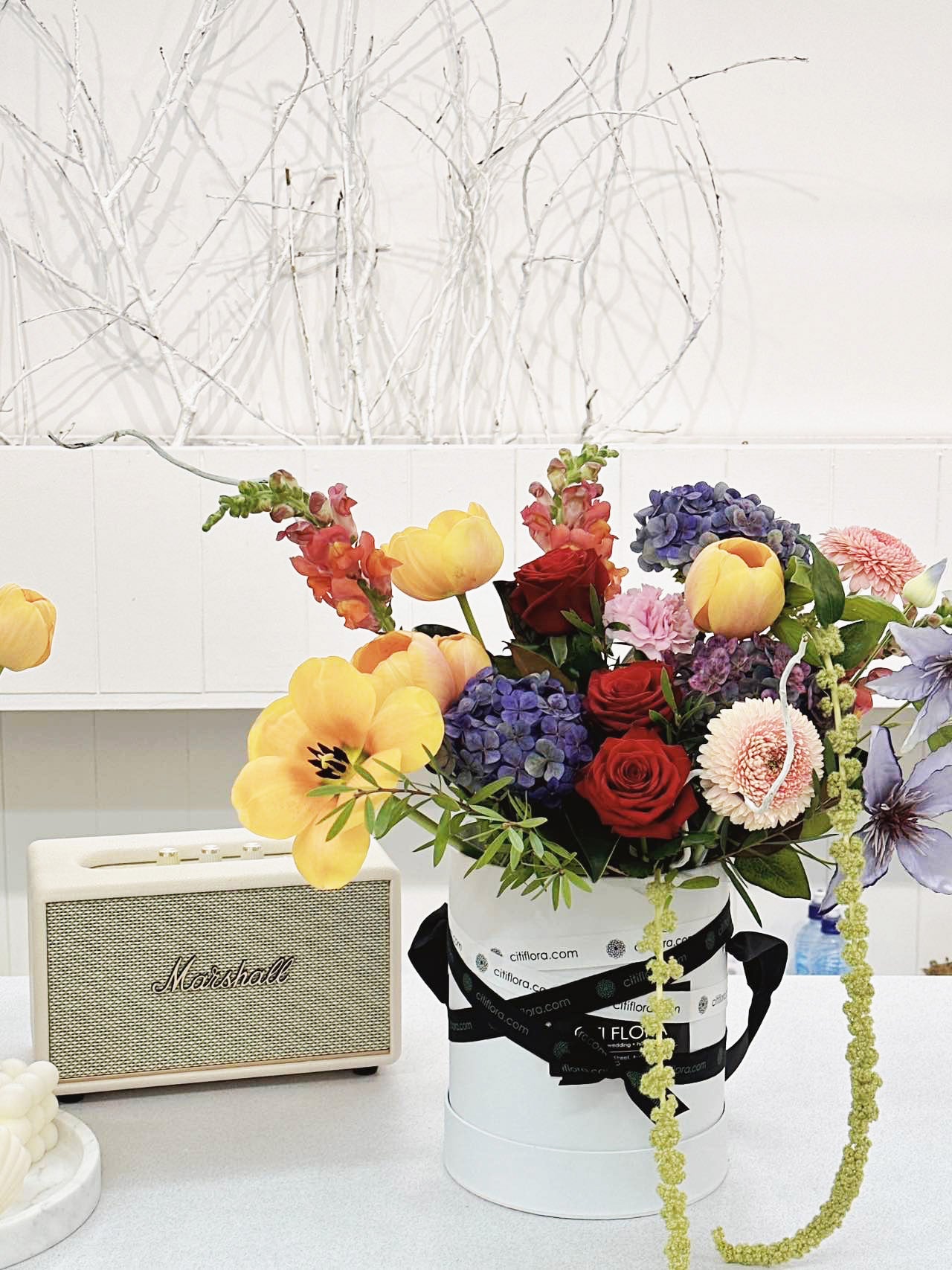 A Colourful Symphony