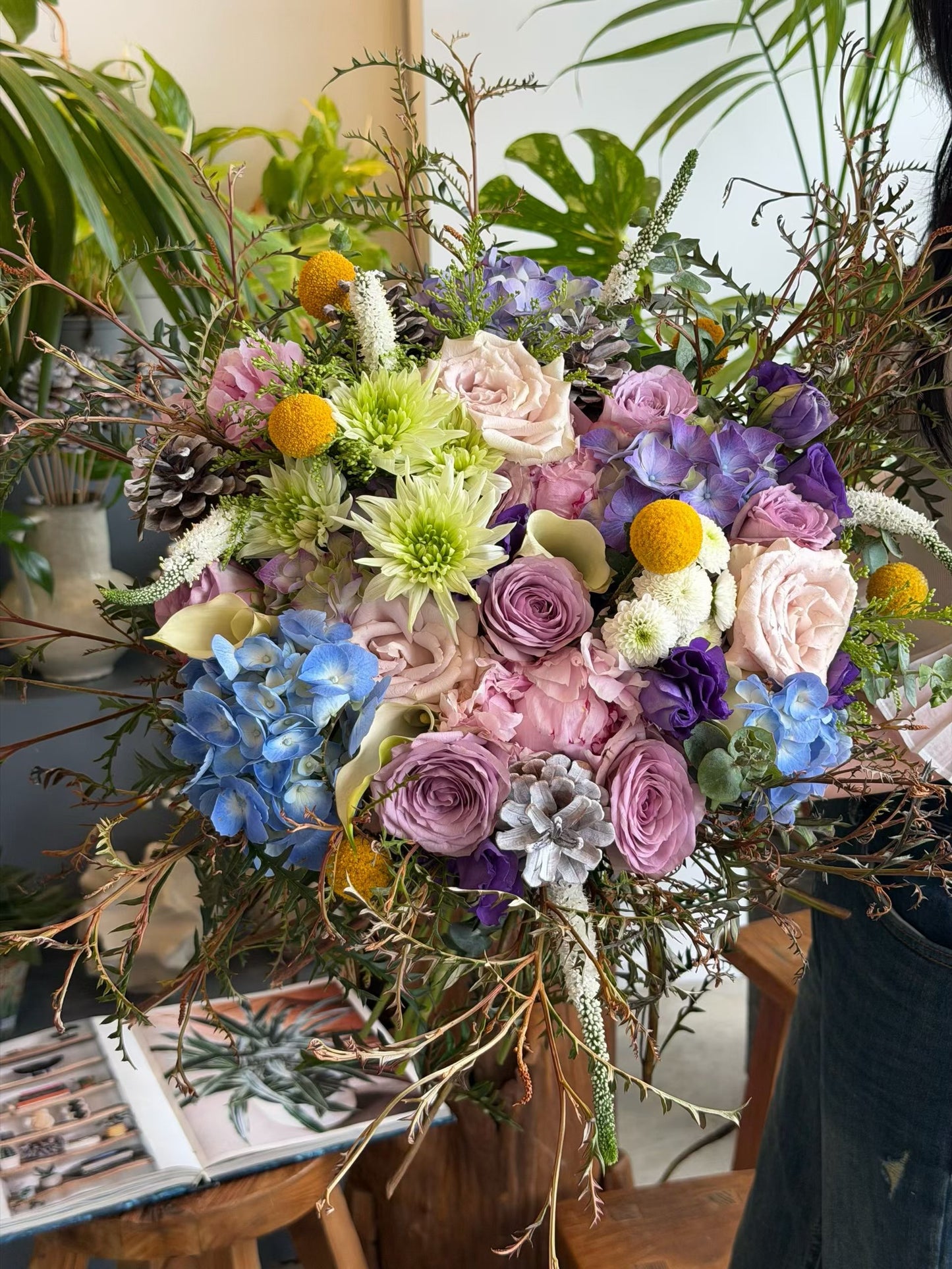 Violette Dream