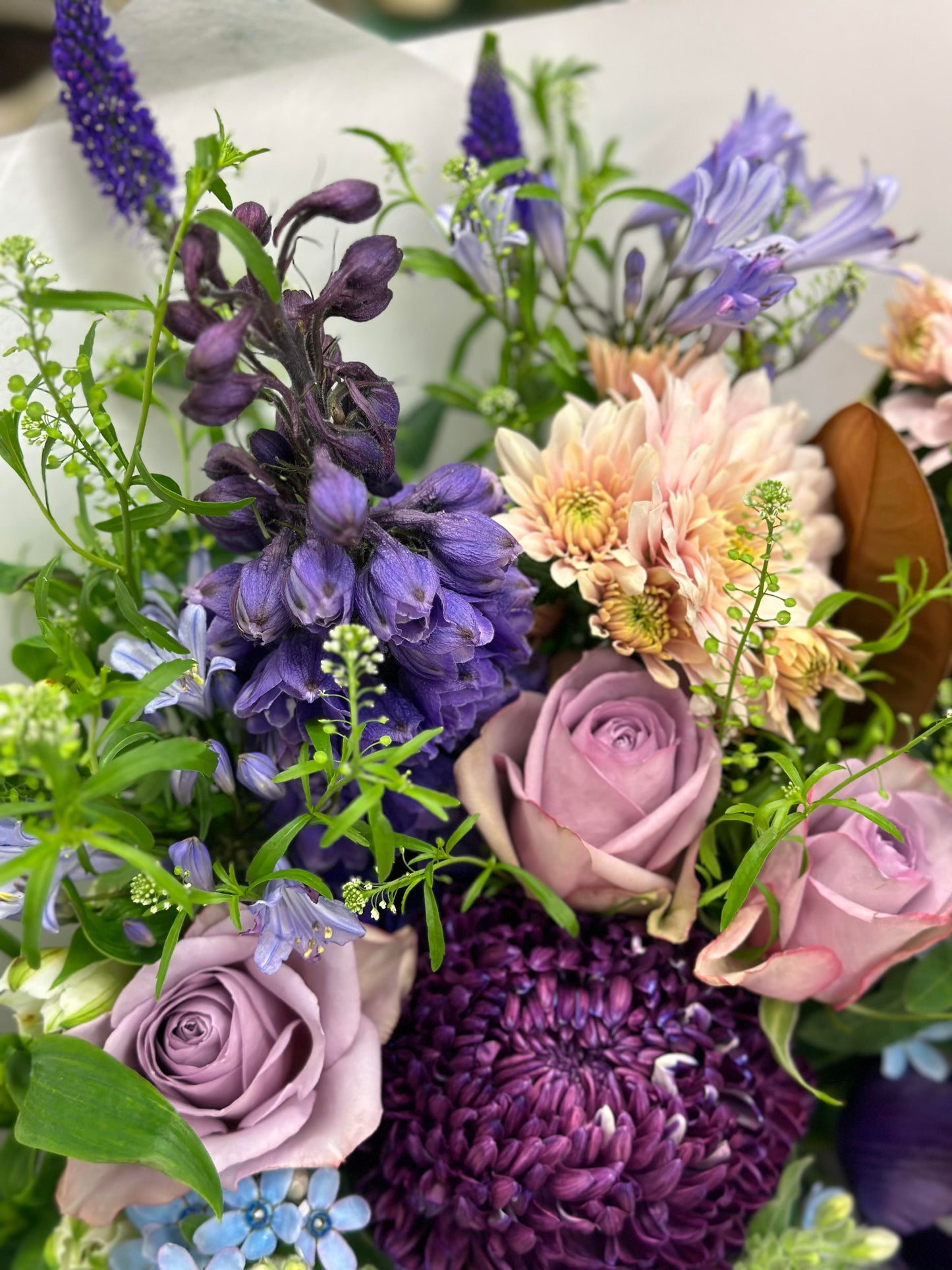 (JB20) Purple Grande