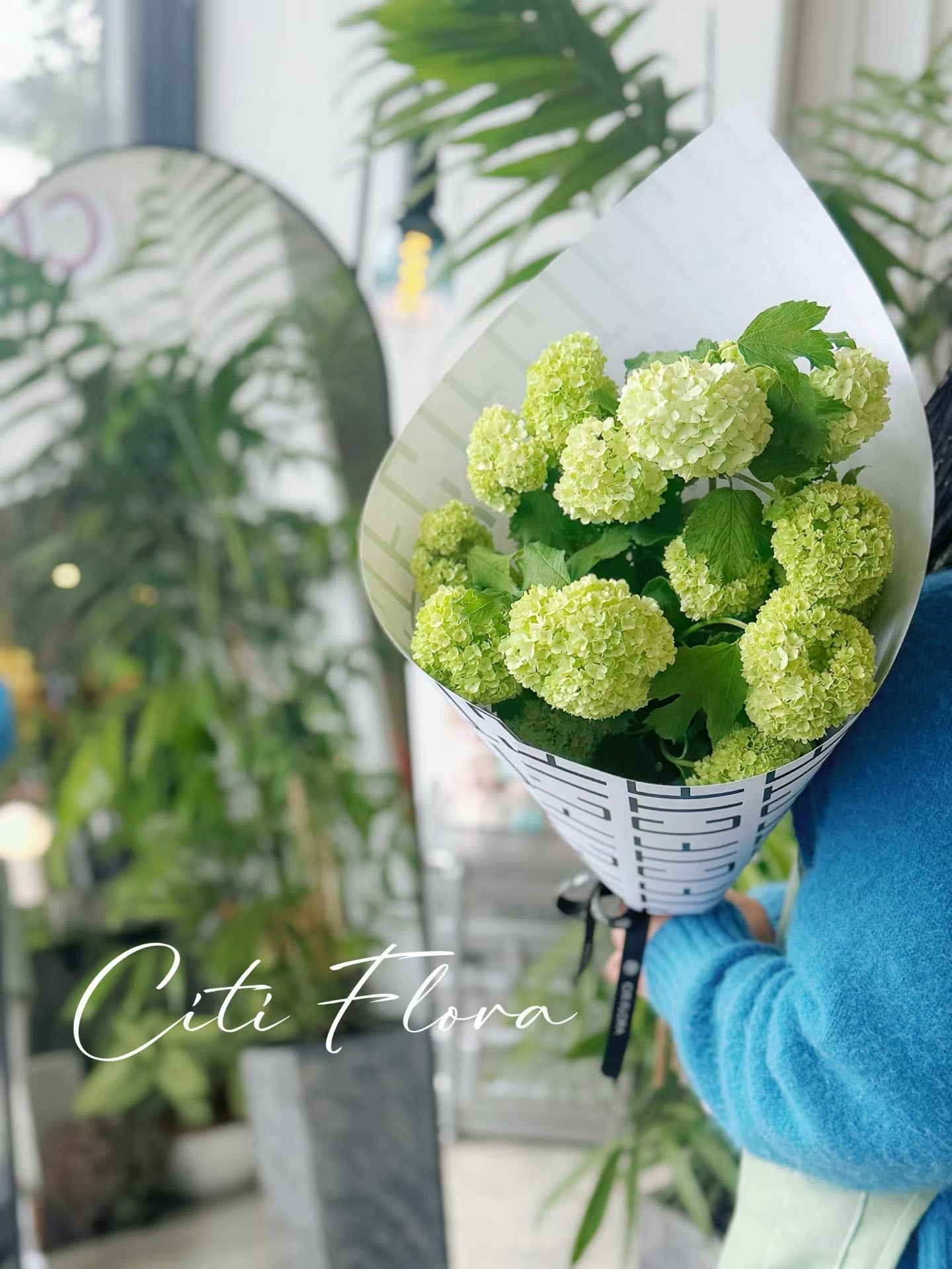 Lime Snowballs