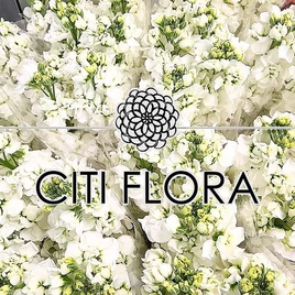 Citi Flora Gift Card