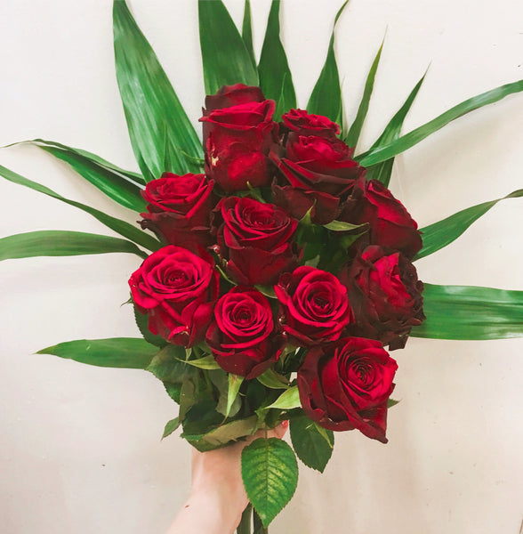 (AV1) Romantic Red Roses